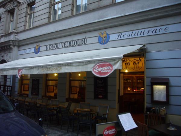 Restaurace U dvou velbloudů
